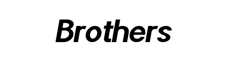 POE Sans Pro Bold Italic  Free Fonts Download