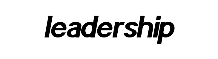 POE Sans Pro Bold Italic  Free Fonts Download