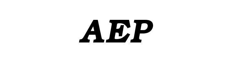 ER Bukinist 866 Bold Italic  Free Fonts Download