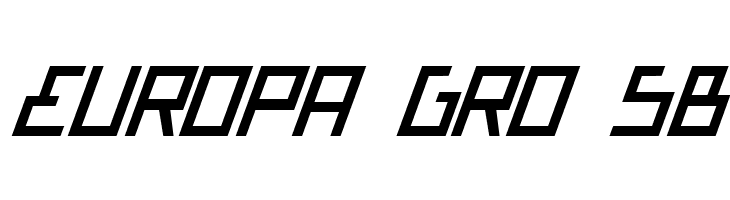 Bionic Type Italic  Free Fonts Download