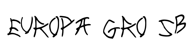 New_Chinese  Free Fonts Download