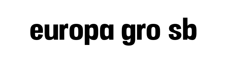 Vacer Sans Personal Black  Free Fonts Download