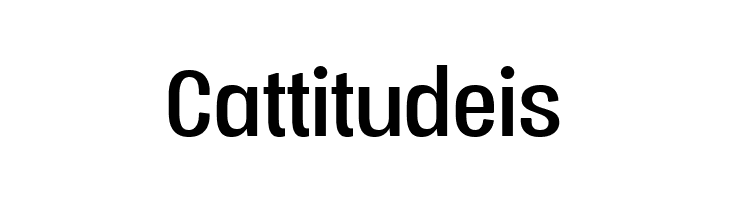 Vacer Sans Personal  Free Fonts Download