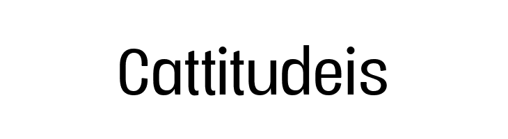 Vacer Sans Personal Book  Free Fonts Download