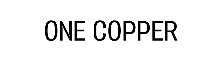 Vacer Sans Personal Book  Free Fonts Download