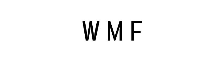 Vacer Sans Personal Book  Free Fonts Download
