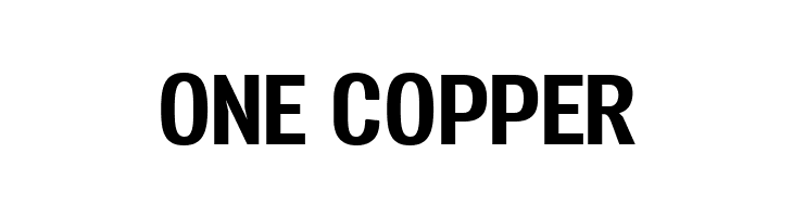 Vacer Sans Personal Bold  Free Fonts Download