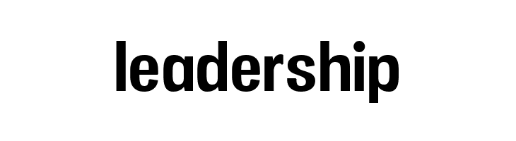 Vacer Sans Personal Bold  Free Fonts Download