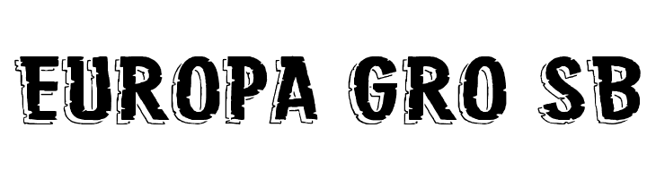 Jungle Roar Bold  Free Fonts Download