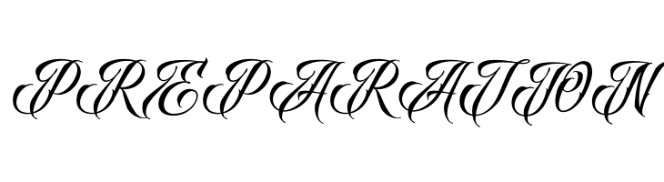 RavenScriptDEMO  Free Fonts Download
