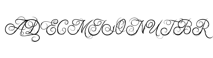 Ababil Script DEMO  Free Fonts Download