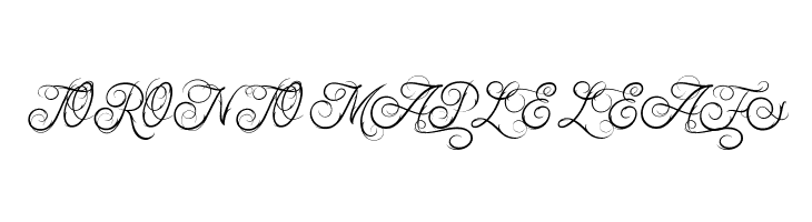Ababil Script DEMO  Free Fonts Download