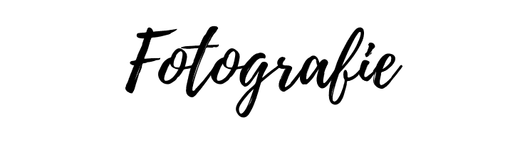 Fotografie Playlist-Script Font