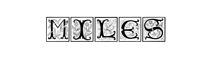 Ramo 2 Caps  Free Fonts Download