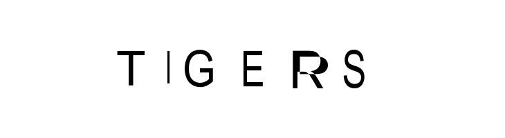 NewSymbolFont  Free Fonts Download