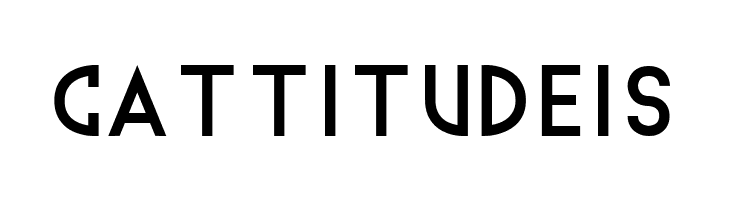 Techno Wanker  Free Fonts Download