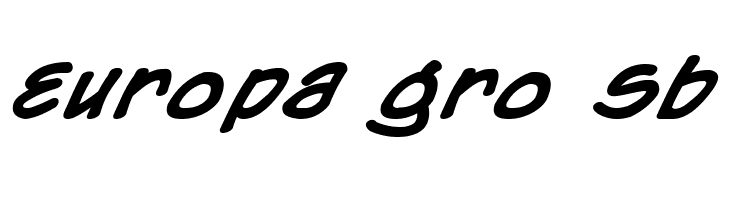 Chronicles of a Hero Bold  Free Fonts Download