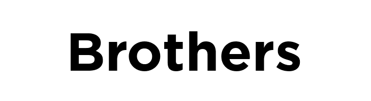 HomepageBaukasten-Bold  Free Fonts Download