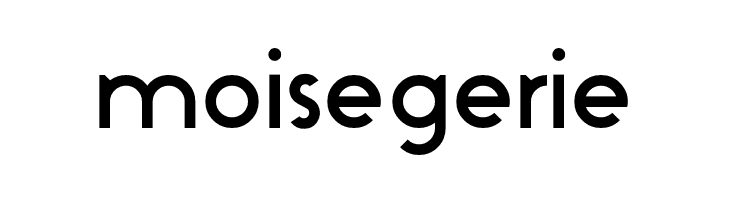 moisegerie Stark Font