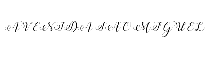 Stylish Calligraphy Demo  Free Fonts Download