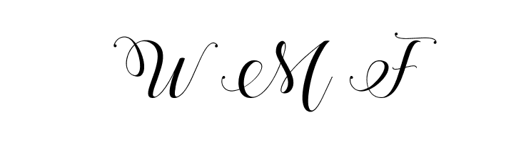 Stylish Calligraphy Demo  Free Fonts Download