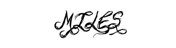 Sketchy Script  Free Fonts Download