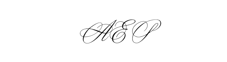 OPTIYen-Script  Free Fonts Download