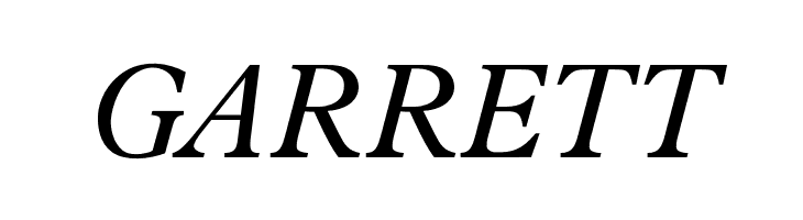 OPTIPlanet-Italic  Free Fonts Download