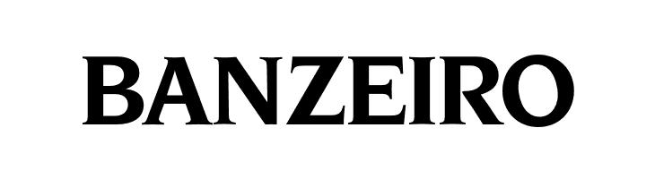 OPTINonoy-BoldItalic  Free Fonts Download