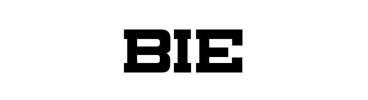 Canarsie Slab JL  Free Fonts Download