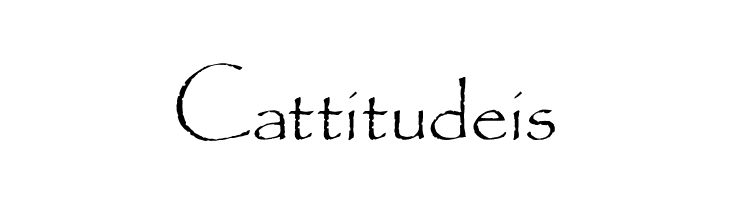 OPTIPaulDavid  Free Fonts Download