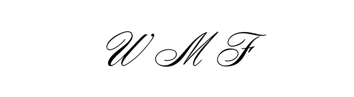 OPTIZoomScript  Free Fonts Download