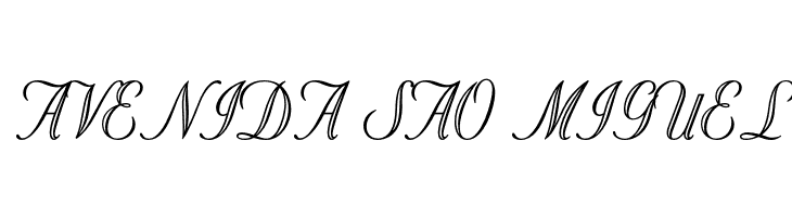 OPTIStoyer-Script  Free Fonts Download