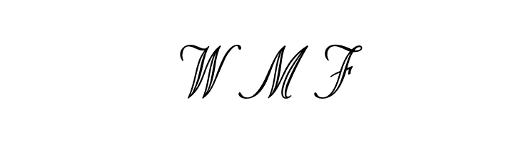 OPTIStoyer-Script  Free Fonts Download