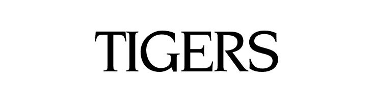 OPTINonoy-MediumItalic  Free Fonts Download