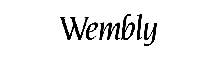 OPTINonoy-MediumItalic  Free Fonts Download