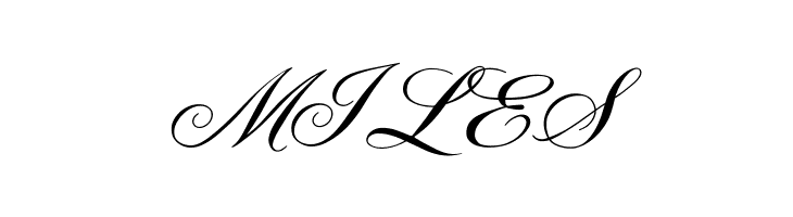 OPTIYork-Script  Free Fonts Download