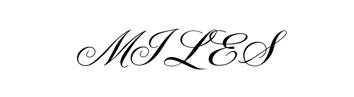 OPTIYork-Script  Free Fonts Download