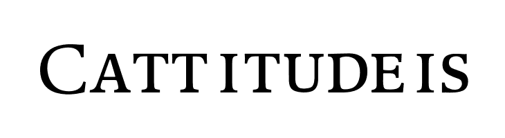 OPTIPeach-CAP  Free Fonts Download