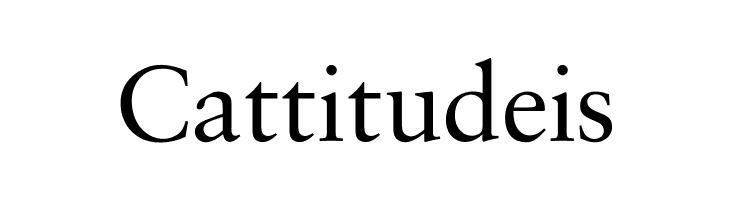 OPTISaroneRomanNormal  Free Fonts Download