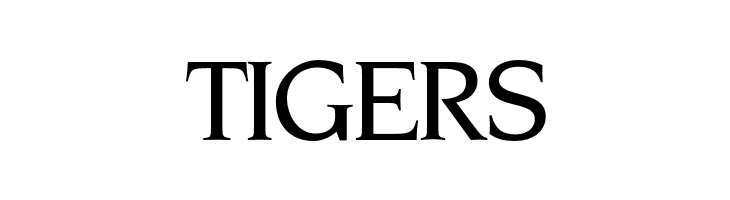 OPTINonoy-Medium  Free Fonts Download