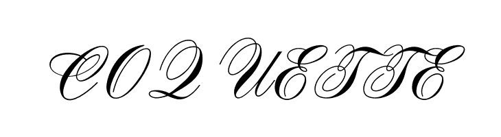 OPTISwallow-Bold  Free Fonts Download