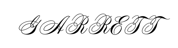 OPTISwallow-Bold  Free Fonts Download