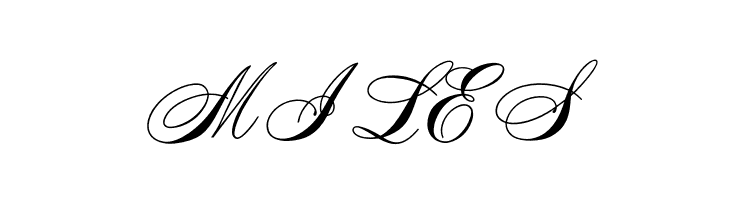 OPTISwallow-Bold  Free Fonts Download