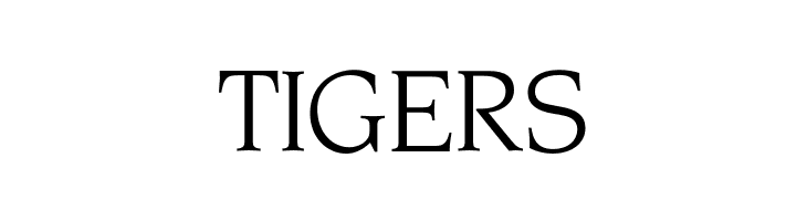 OPTINonoy-BookItalic  Free Fonts Download