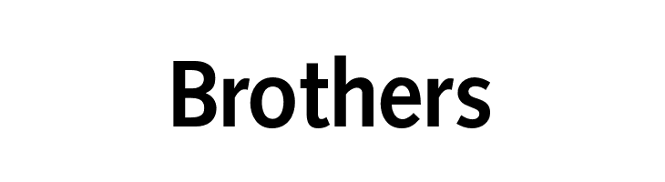 OPTISintax-Bold  Free Fonts Download