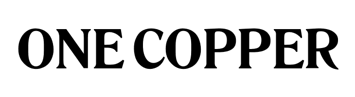 OPTIRomanaRoman-Bold  Free Fonts Download