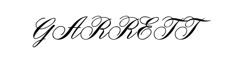 OYALE Scrip Bold  Free Fonts Download