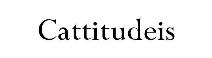 OPTIPapong  Free Fonts Download