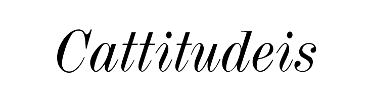 OPTITorry-Italic  Free Fonts Download